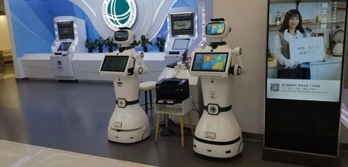 融资退潮下，服务机器人的破局之路 专业设计服务能否开启第二增长曲线？