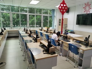 擘画未来 食品科学与工程学院两大国际专业，链接全球机遇